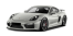 Cayman GT4